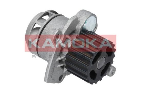 Obrázok Vodné čerpadlo, chladenie motora KAMOKA  T0253