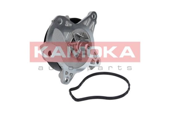 Obrázok Vodné čerpadlo, chladenie motora KAMOKA  T0262