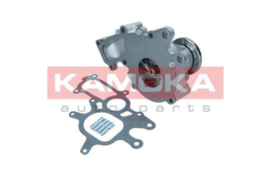Obrázok Vodné čerpadlo, chladenie motora KAMOKA  T0267