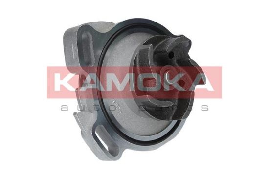 Obrázok Vodné čerpadlo, chladenie motora KAMOKA  T0275