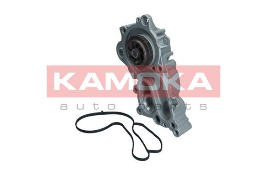 Obrázok Vodné čerpadlo, chladenie motora KAMOKA  T0287