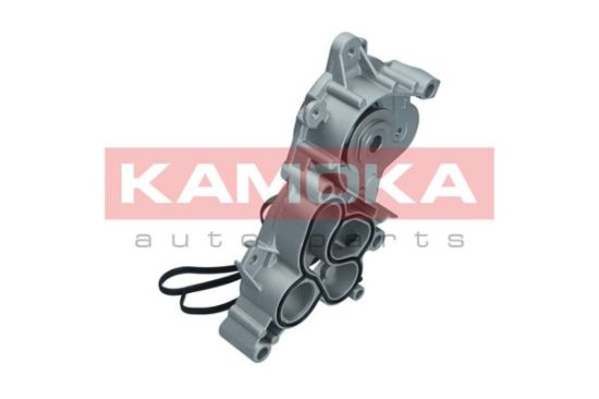 Obrázok Vodné čerpadlo, chladenie motora KAMOKA  T0287
