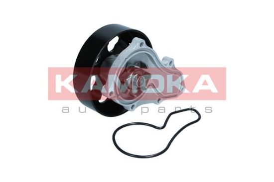 Obrázok Vodné čerpadlo, chladenie motora KAMOKA  T0304