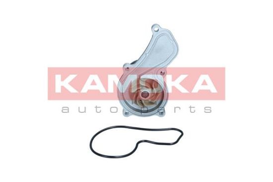 Obrázok Vodné čerpadlo, chladenie motora KAMOKA  T0305