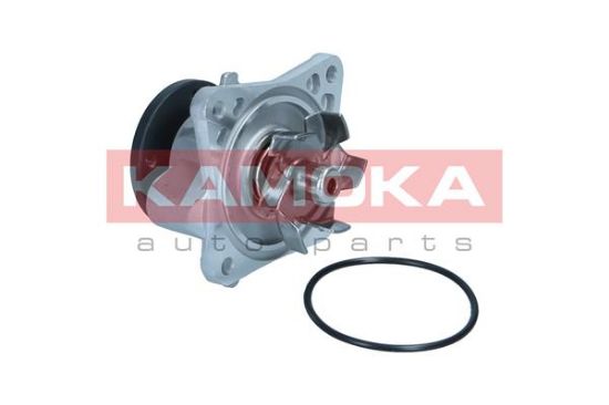 Obrázok Vodné čerpadlo, chladenie motora KAMOKA  T0309