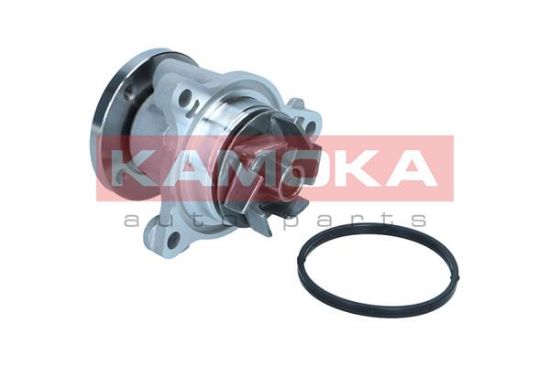 Obrázok Vodné čerpadlo, chladenie motora KAMOKA  T0310