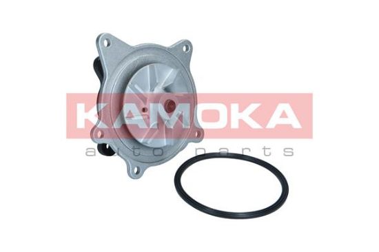 Obrázok Vodné čerpadlo, chladenie motora KAMOKA  T0318