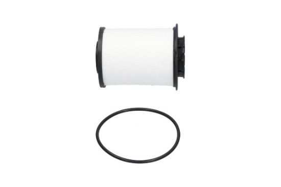 Obrázok Palivový filter KAVO PARTS   |  DF7747