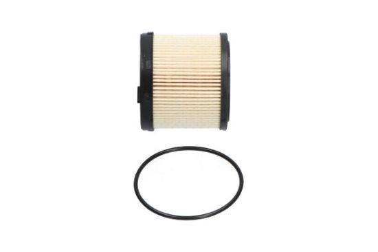 Obrázok Palivový filter KAVO PARTS   |  SF9954