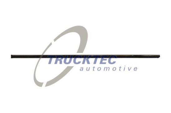 Obrázok Ozdobná/ochranná liżta dverí TRUCKTEC AUTOMOTIVE  0252105