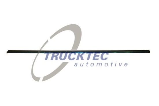 Obrázok Ozdobná/ochranná liżta dverí TRUCKTEC AUTOMOTIVE  0252108