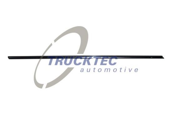 Obrázok Ozdobná/ochranná liżta dverí TRUCKTEC AUTOMOTIVE  0252127