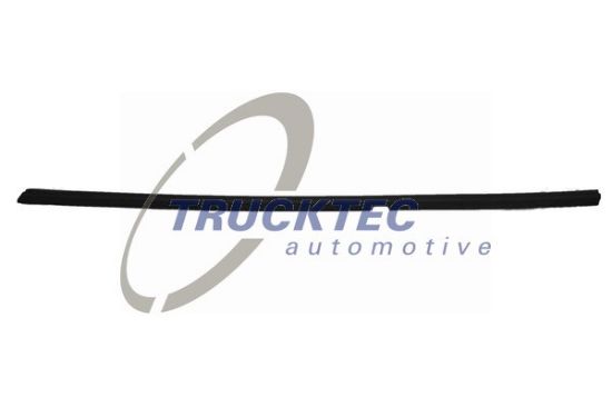 Obrázok Ozdobná/ochranná liżta skla dverí TRUCKTEC AUTOMOTIVE  0254019