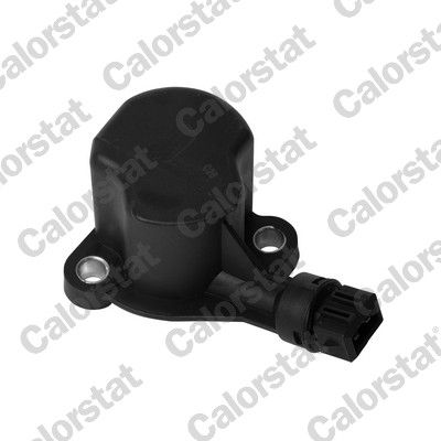 Obrázok Spínač cúvacích svetiel CALORSTAT by Vernet  RS5558