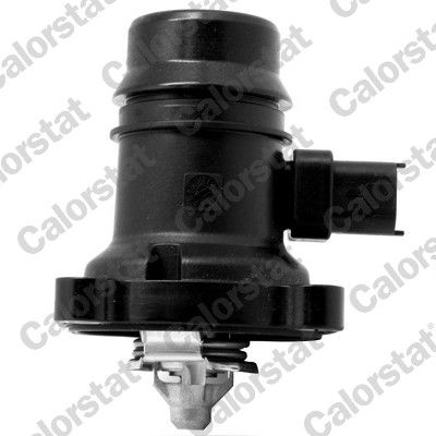Obrázok Termostat chladenia CALORSTAT by Vernet  TE7246103J