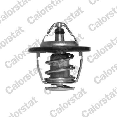 Obrázok Termostat chladenia CALORSTAT by Vernet  TH652088J