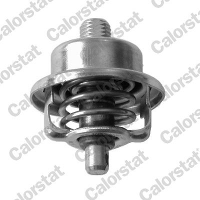 Obrázok Termostat chladenia CALORSTAT by Vernet  TH670870