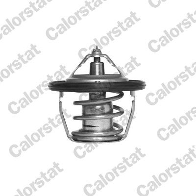Obrázok Termostat chladenia CALORSTAT by Vernet  TH673678J