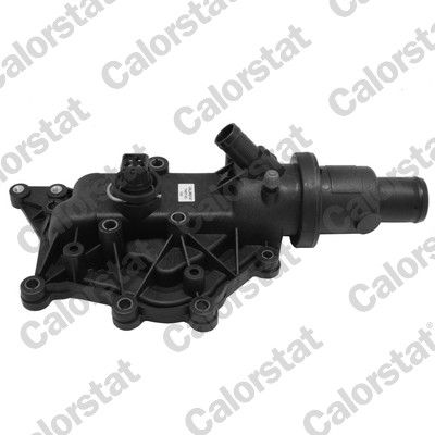 Obrázok Termostat chladenia CALORSTAT by Vernet  TH697183J