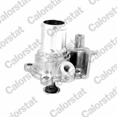 Obrázok Termostat chladenia CALORSTAT by Vernet  TH730382J