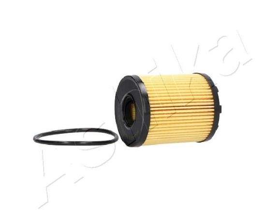 Obrázok Olejový filter ASHIKA  10ECO044