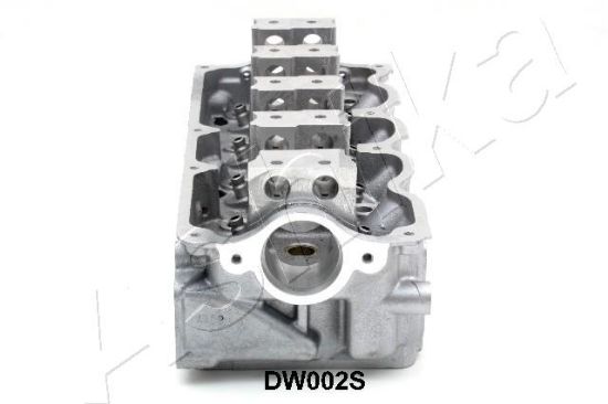 Obrázok Hlava valcov motora ASHIKA  DW002S
