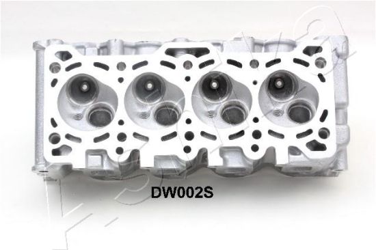 Obrázok Hlava valcov motora ASHIKA  DW002S