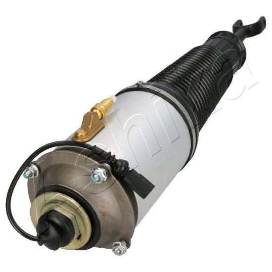 Obrázok Vzduchový vak ASHIKA  MAAS028