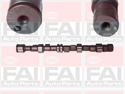 Obrázok Vačkový hriadeľ FAI AutoParts  C189