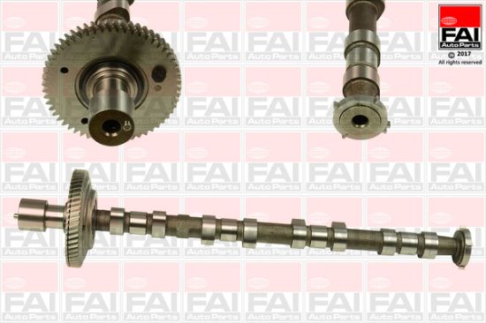 Obrázok Vačkový hriadeľ FAI AutoParts  C308