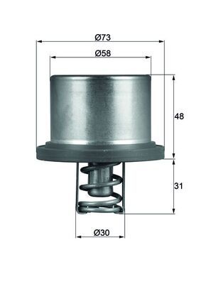 Obrázok Termostat chladenia MAHLE BEHR THD289