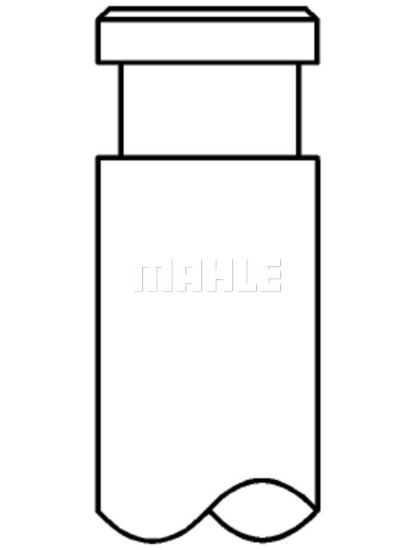 Obrázok Sací ventil MAHLE  640VE31038000