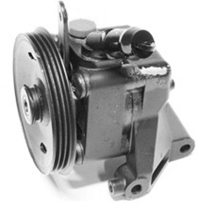 Obrázok Hydraulické čerpadlo pre riadenie GENERAL RICAMBI  PI1000