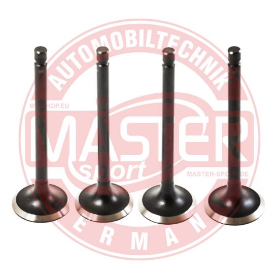 Obrázok Sací ventil MASTER-SPORT GERMANY  01INSET4MS