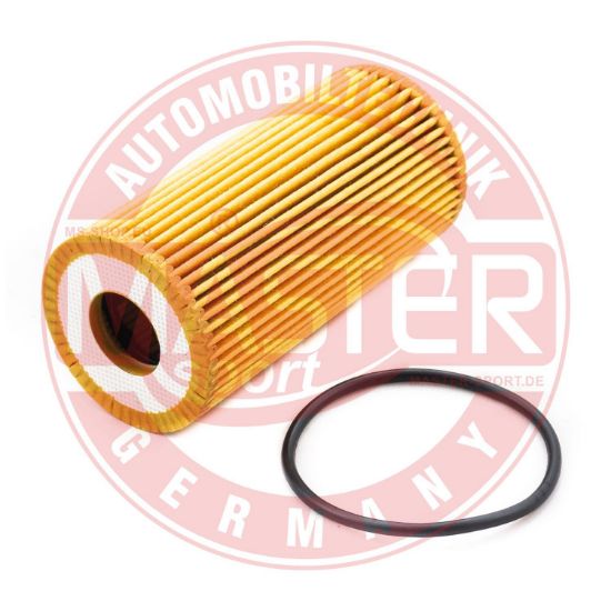 Obrázok Olejový filter MASTER-SPORT GERMANY  6011ZOFPCSMS