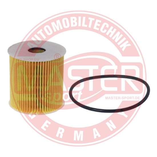 Obrázok Olejový filter MASTER-SPORT GERMANY  8191XOFPCSMS