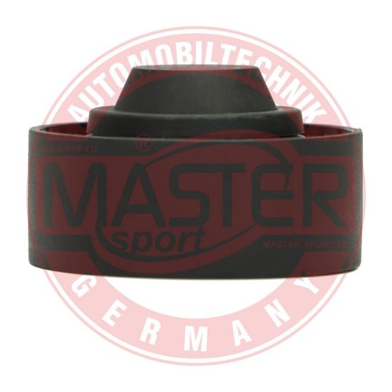 Obrázok Vratná/vodiaca kladka rebrovaného klinového remeňa MASTER-SPORT GERMANY  R31301PCSMS