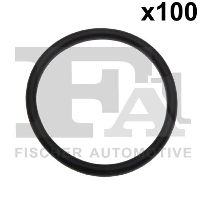 Obrázok Tesniaci krúżok FA1  076576100