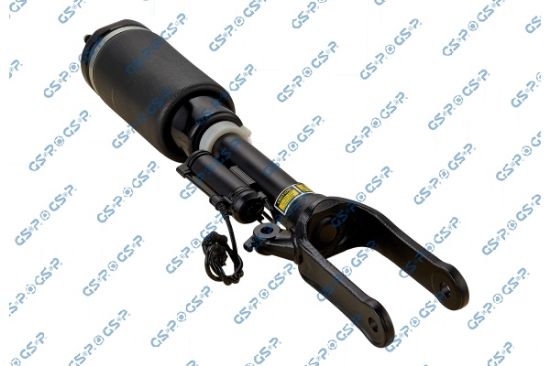 Obrázok Vzduchový vak GSP  30900280