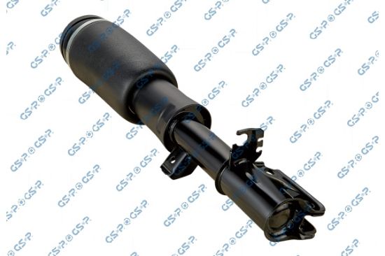 Obrázok Vzduchový vak GSP  30900461