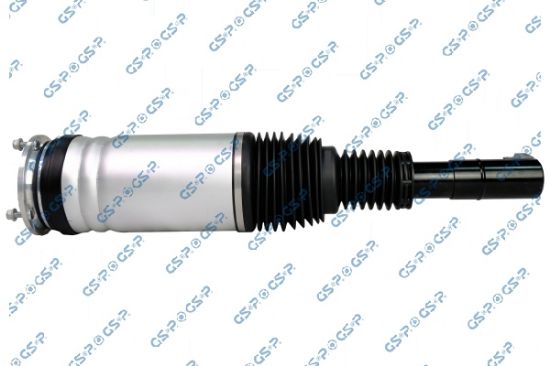 Obrázok Vzduchový vak GSP  30900961