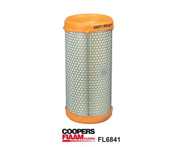 Obrázok Vzduchový filter CoopersFiaam  FL6841