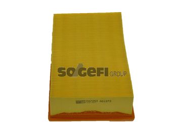 Obrázok Vzduchový filter CoopersFiaam  PA7253