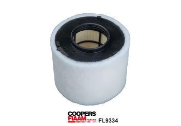 Obrázok Vzduchový filter CoopersFiaam  FL9334