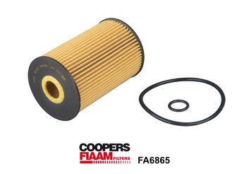 Obrázok Olejový filter CoopersFiaam  FA6865