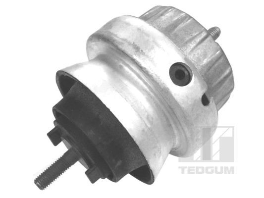 Obrázok Ulożenie motora TEDGUM  00056444