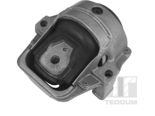 Obrázok Ulożenie motora TEDGUM  00058583