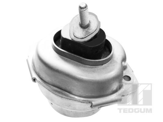Obrázok Ulożenie motora TEDGUM  00088466