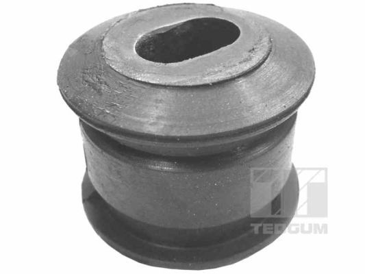 Obrázok Ulożenie motora TEDGUM  00133213