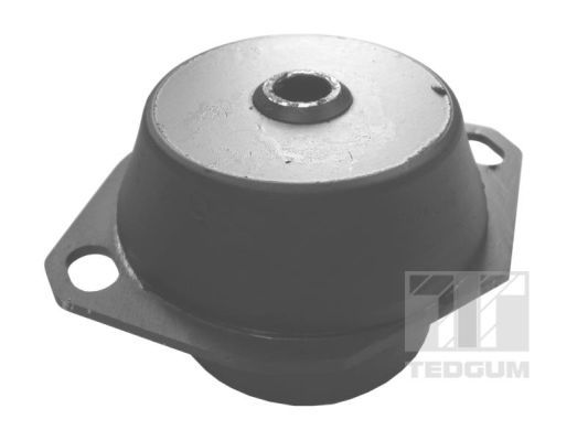 Obrázok Ulożenie motora TEDGUM  00144405